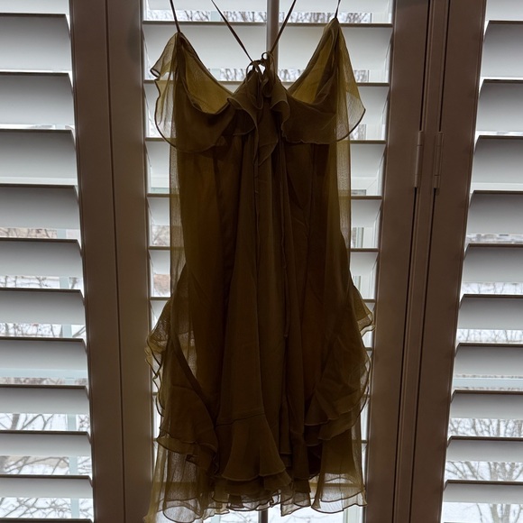 Express Ruffle Mini Dress - Picture 4 of 5